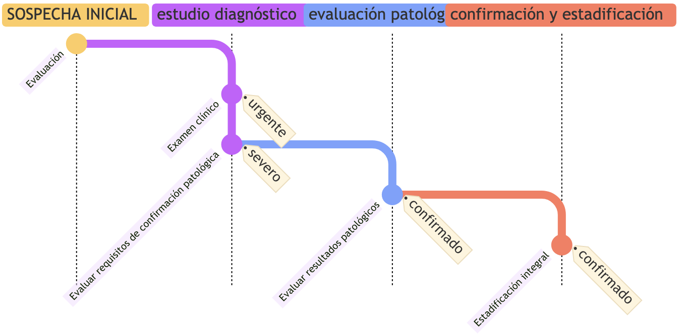 Flujo de Decisión Clínica | <i>Diagnógrama</i> por LitéoMed Flujo de Decisión Clínica | <i>Diagnógrama</i> por LitéoMed